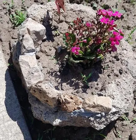 Casa Ella Gæstehus 3*