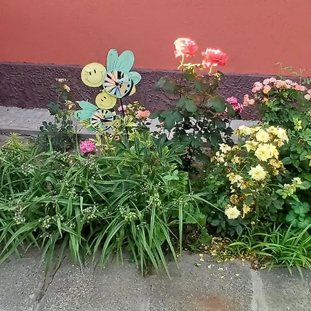 Casa Ella Pensiune 3*